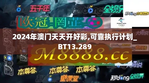 2024年澳门天天开好彩,可靠执行计划_BT13.289