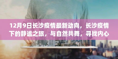 长沙疫情最新动态下的静谧之旅，与自然共舞，寻找内心平和之地