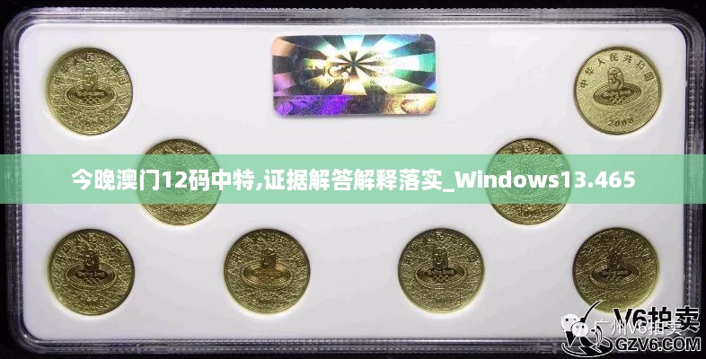 今晚澳门12码中特,证据解答解释落实_Windows13.465