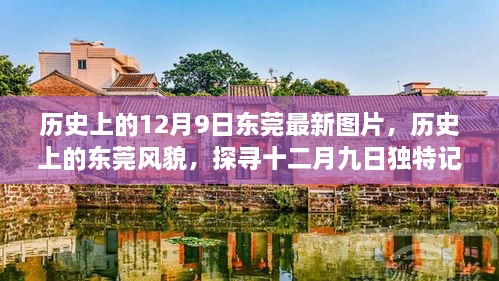 探寻东莞新颜，十二月九日的历史记忆与最新风貌图片展示