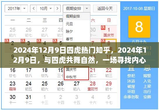 四虎共舞自然，一场寻找内心平静的奇妙旅行，记录于2024年12月9日的知乎热门时刻