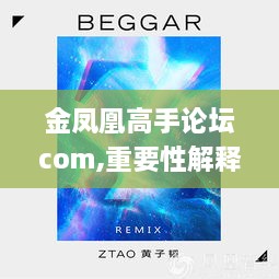 金凤凰高手论坛com,重要性解释落实方法_RemixOS3.947