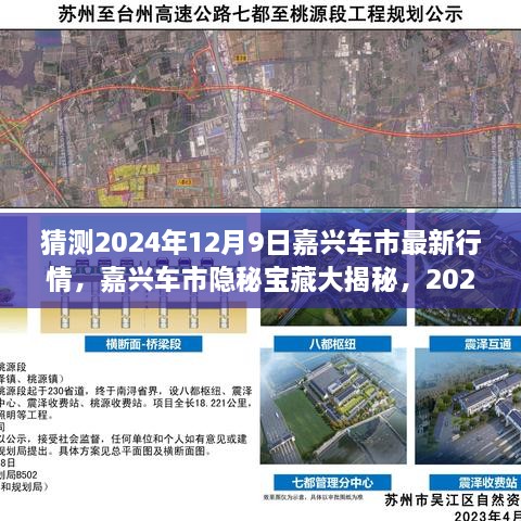 揭秘嘉兴车市宝藏，2024年12月9日最新行情探秘与预测