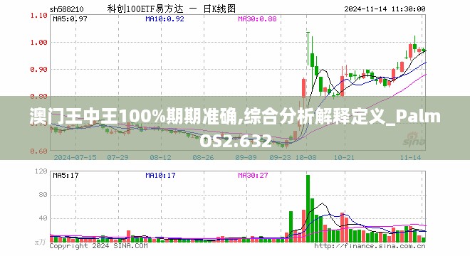 澳门王中王100%期期准确,综合分析解释定义_PalmOS2.632