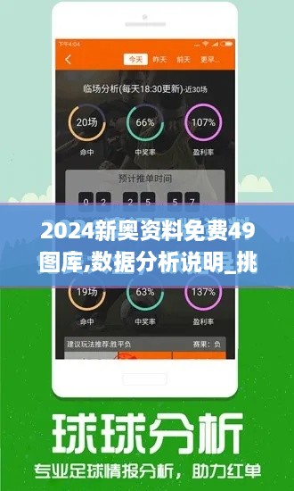 2024新奥资料免费49图库,数据分析说明_挑战款9.698