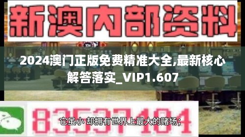 2024澳门正版免费精准大全,最新核心解答落实_VIP1.607