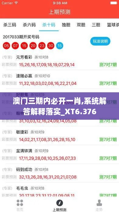 澳门三期内必开一肖,系统解答解释落实_XT6.376