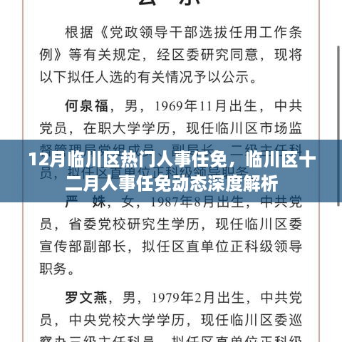 临川区十二月人事任免动态，深度解析及最新任免信息