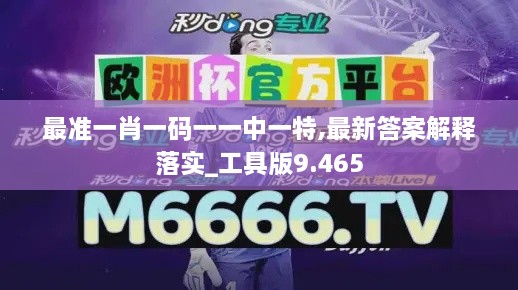 最准一肖一码一一中一特,最新答案解释落实_工具版9.465