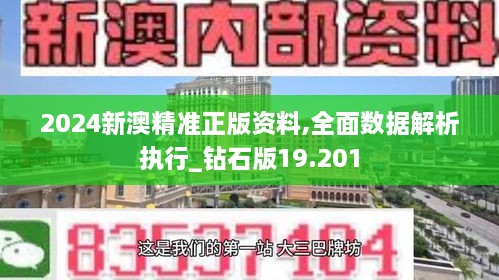 2024新澳精准正版资料,全面数据解析执行_钻石版19.201