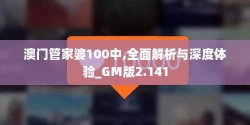 澳门管家婆100中,全面解析与深度体验_GM版2.141