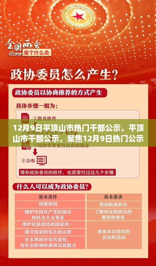 平顶山市干部公示更新，聚焦12月9日热门公示内容