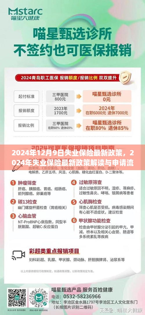 2024年失业保险最新政策解读及申请流程指南