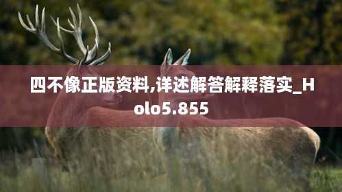 四不像正版资料,详述解答解释落实_Holo5.855