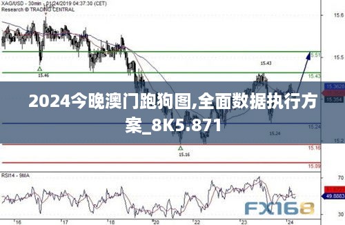 2024今晚澳门跑狗图,全面数据执行方案_8K5.871