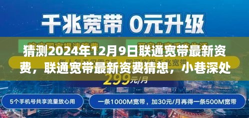 联通未来宽带资费猜想，探秘小巷深处的神秘宝藏，联通宽带最新资费预测（2024年12月9日）