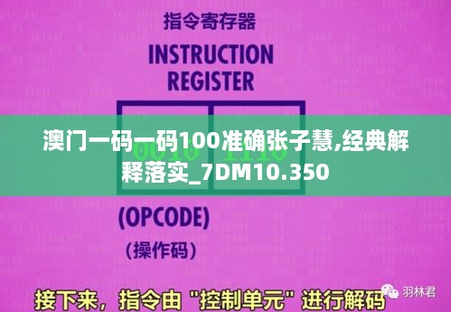 澳门一码一码100准确张子慧,经典解释落实_7DM10.350