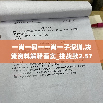 一肖一码一一肖一子深圳,决策资料解释落实_挑战款2.573