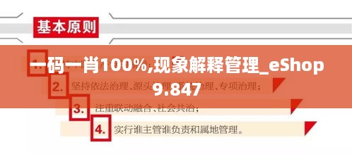 一码一肖100%,现象解释管理_eShop9.847