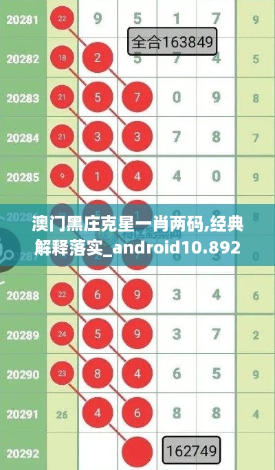 澳门黑庄克星一肖两码,经典解释落实_android10.892