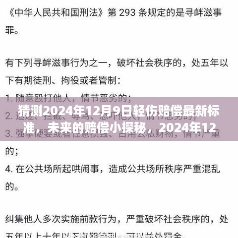 揭秘未来轻伤害赔偿新标准，2024年12月9日的温暖赔偿展望