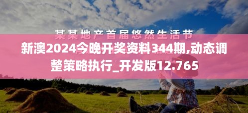 新澳2024今晚开奖资料344期,动态调整策略执行_开发版12.765