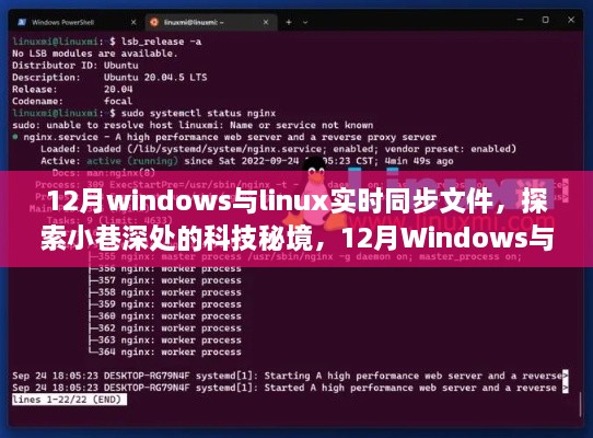 探索科技秘境，Windows与Linux实时同步文件的奇妙之旅在巷深之处开启探索之旅