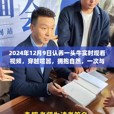 穿越喧嚣拥抱自然，认养一头牛启程之旅，2024年12月9日直播纪实