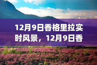 12月9日香格里拉深度体验与实时风景全面评测