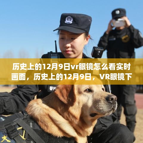 历史上的12月9日vr眼镜怎么看实时画面，历史上的12月9日，VR眼镜下探索实时画面之旅的初学者指南