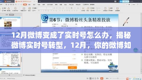 揭秘微博实时号转型，如何让你的微博成为热点中心（12月版）