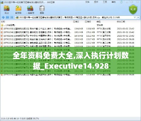 全年资料免费大全,深入执行计划数据_Executive14.928