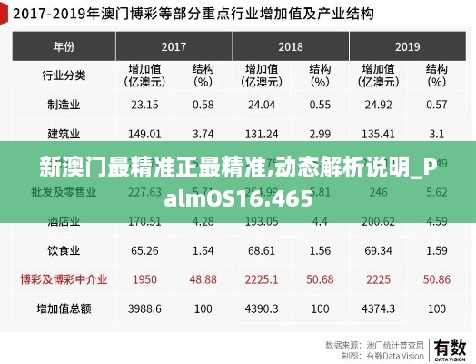 新澳门最精准正最精准,动态解析说明_PalmOS16.465