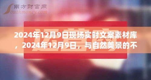 启程探寻心灵港湾，2024年12月9日与自然美景的不期而遇文案素材库