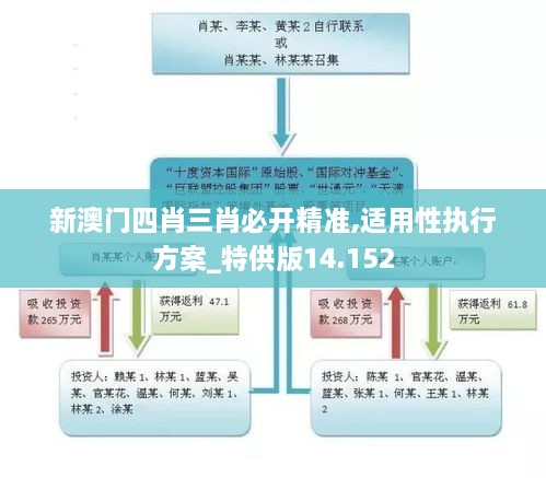 新澳门四肖三肖必开精准,适用性执行方案_特供版14.152