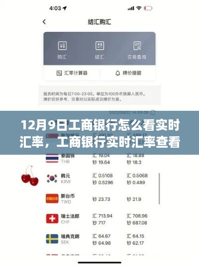 工商银行实时汇率查看全攻略，12月9日操作指南及实时汇率查看方法