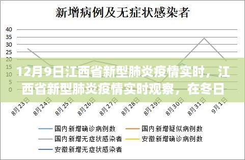 12月9日江西省新型肺炎疫情实时，江西省新型肺炎疫情实时观察，在冬日里探寻希望之光（背景、事件与影响）