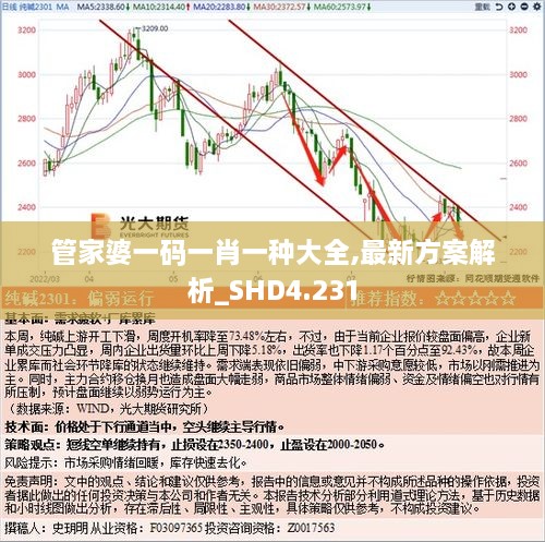 管家婆一码一肖一种大全,最新方案解析_SHD4.231