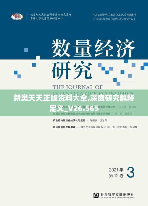 新奥天天正版资料大全,深度研究解释定义_V26.565