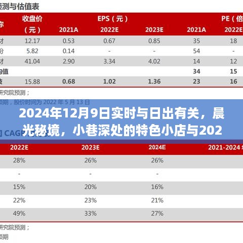 2024年12月10日 第94页