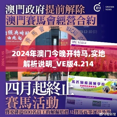 2024年澳门今晚开特马,实地解析说明_VE版4.214