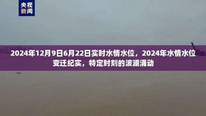 2024年12月 第557页