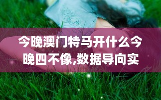 今晚澳门特马开什么今晚四不像,数据导向实施策略_桌面版10.290