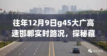 大广高速邯郸路况探秘与隐藏小店的独特风味纪实