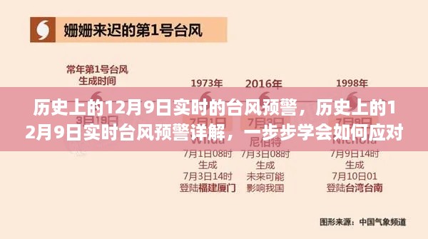 历史上的12月9日实时台风预警详解，应对策略与应对步骤