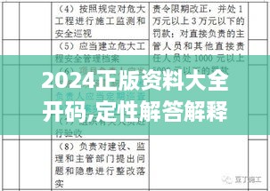 2024正版资料大全开码,定性解答解释定义_苹果版9.514