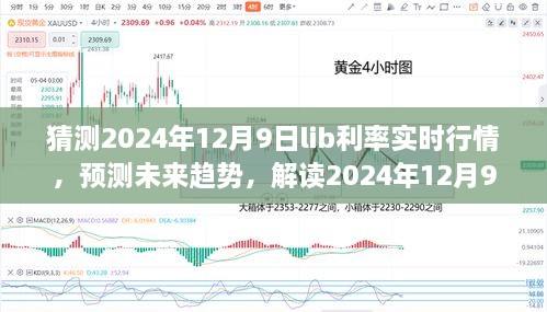 深度解读，预测与评测2024年12月9日Lib利率实时行情及未来趋势分析