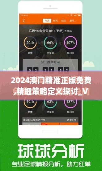 2024澳门精准正版免费,精细策略定义探讨_V5.471