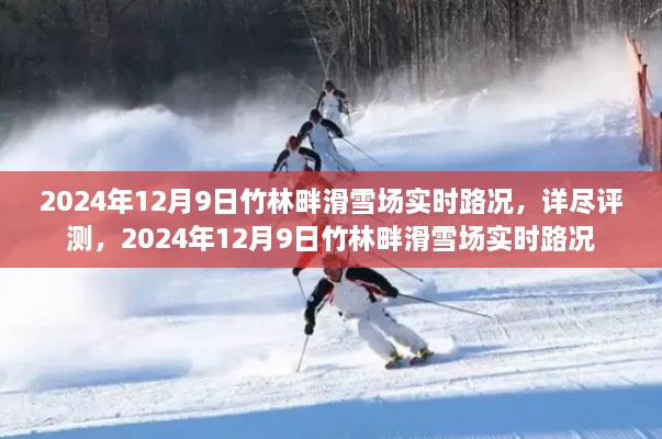 2024年12月9日竹林畔滑雪场实时路况全面解析与详尽评测