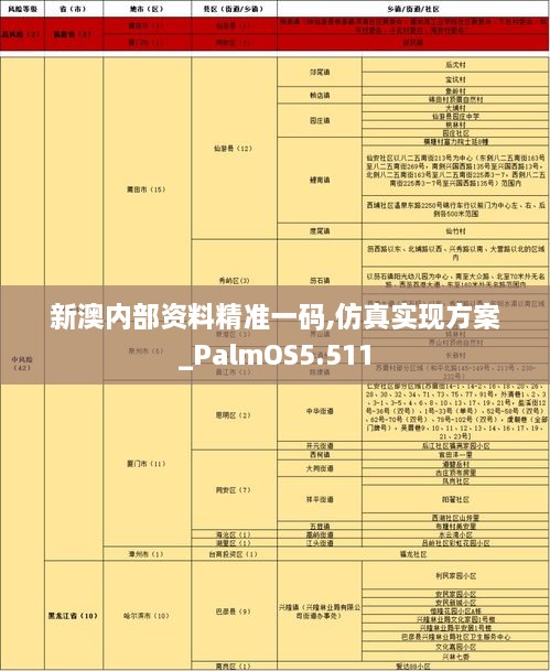 新澳内部资料精准一码,仿真实现方案_PalmOS5.511